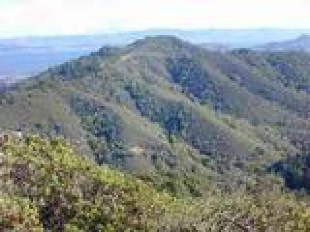 Blithedale Ridge