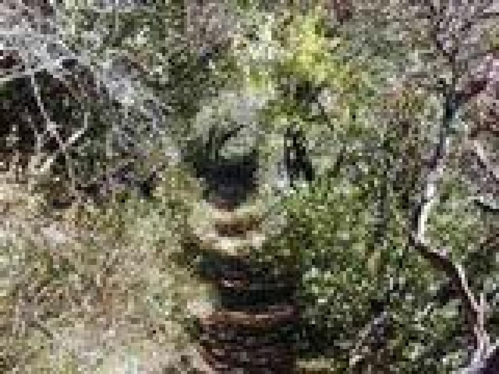 Hoo-Koo-E-Koo Trail