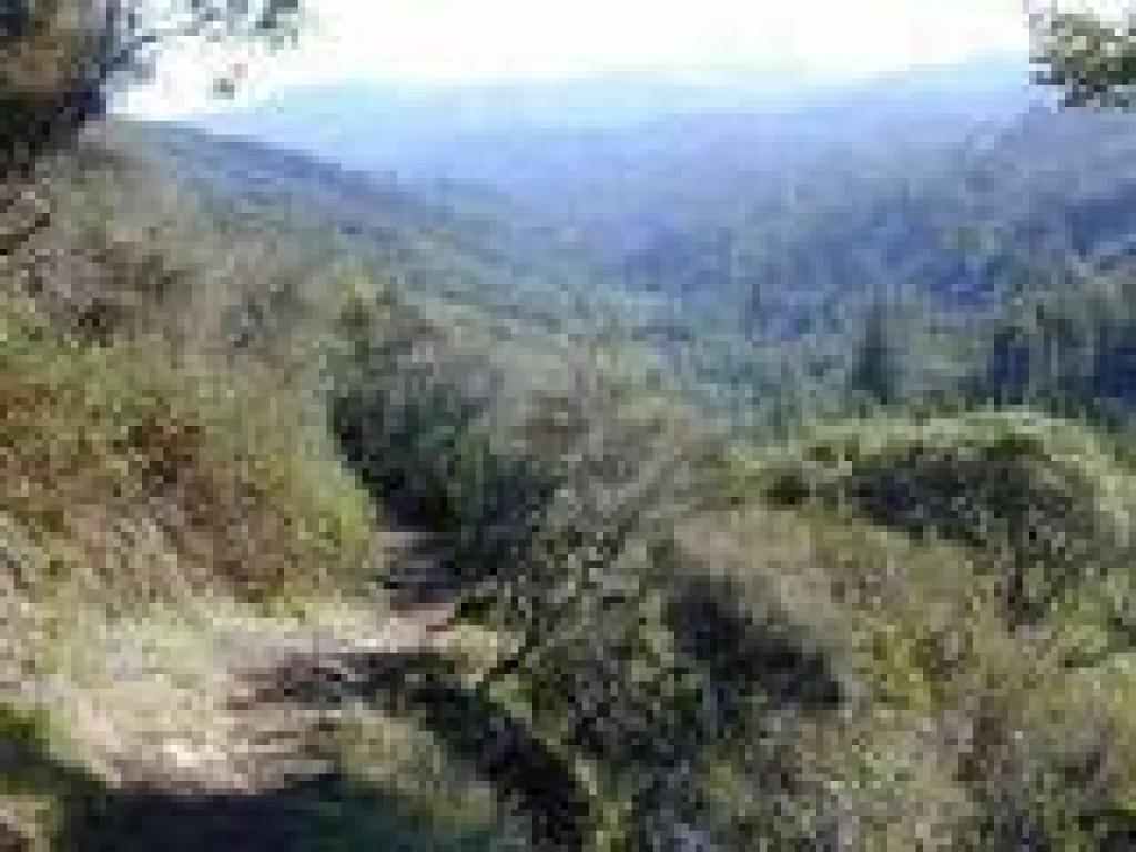 View out of the canyon south