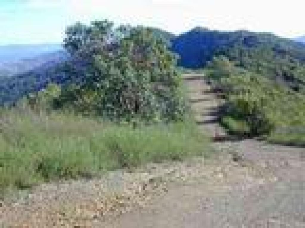 Blithedale Fire Road