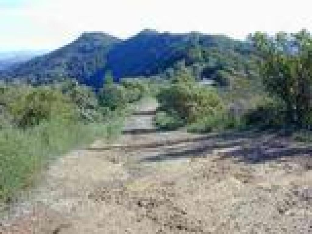 Ridge