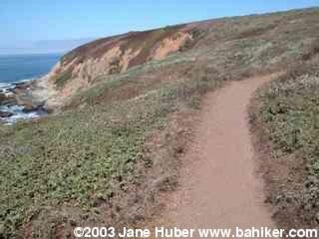 Bodega Head Trail