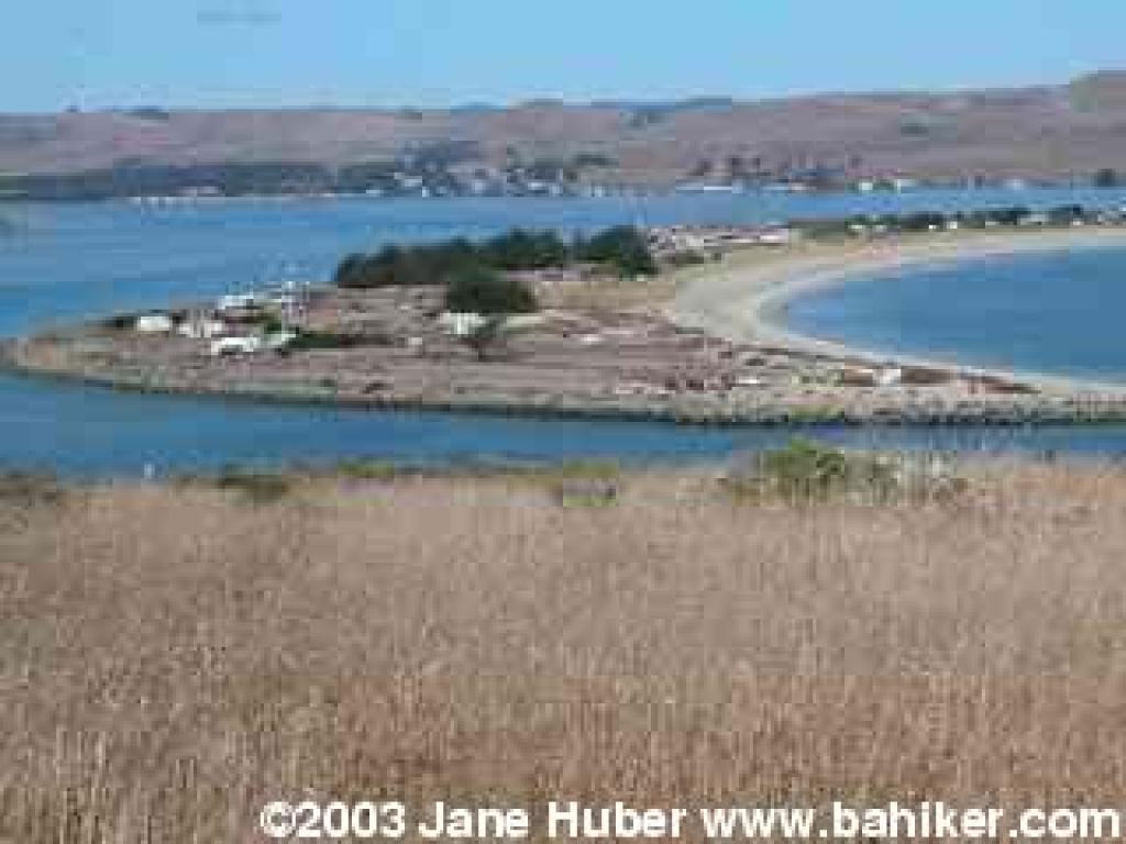 Doran Regional Park campground, seen from Bodega Head