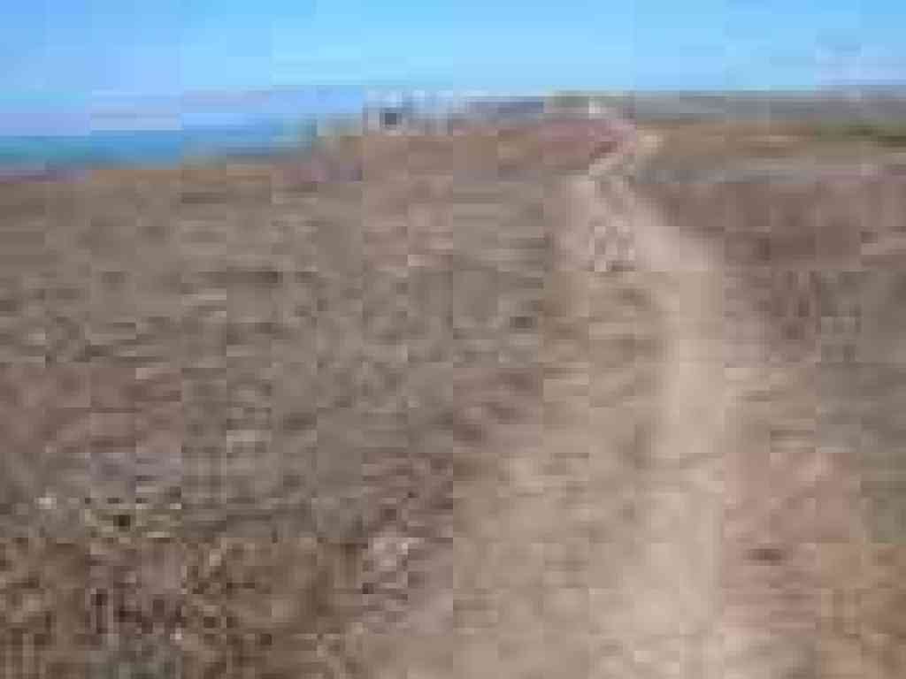 Path to Horseshoe Cove Overlook