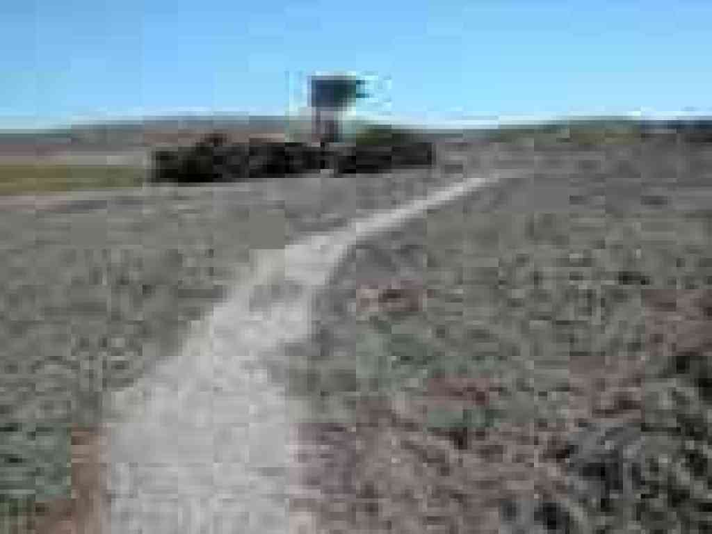 Bodega Head Trail south