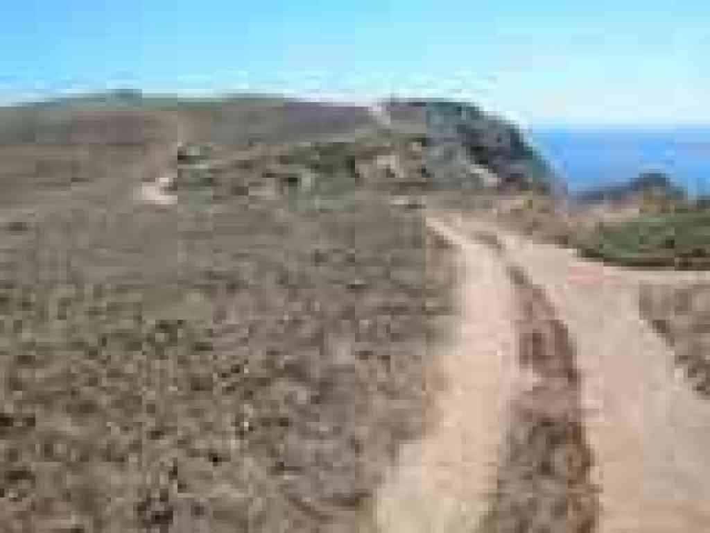 Along the bluff