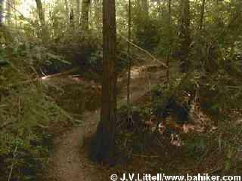 Kent Trail along Alpine Lake