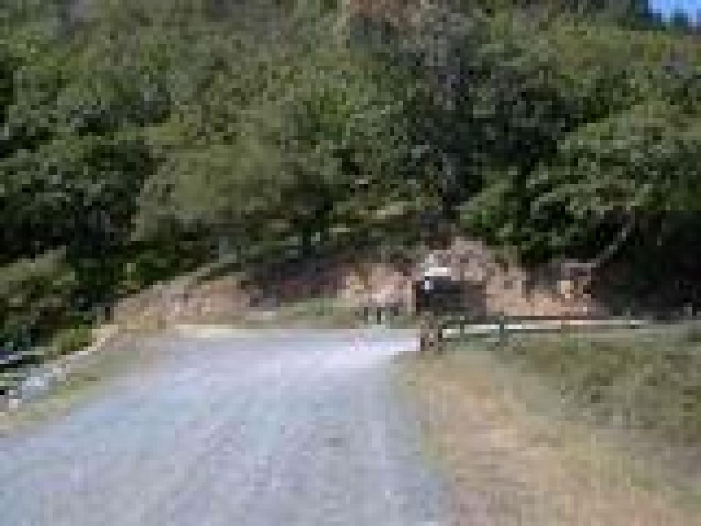 Junction