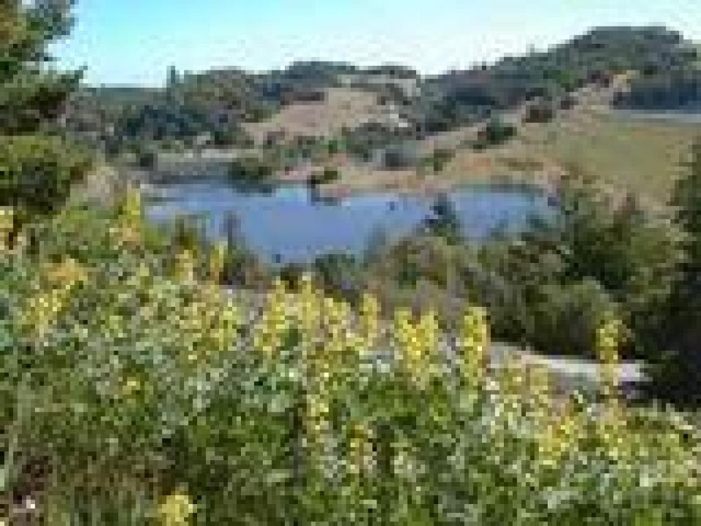 Alpine Lake