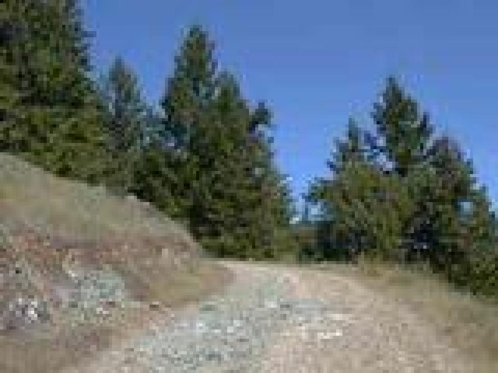 Rocky Ridge Fire Road
