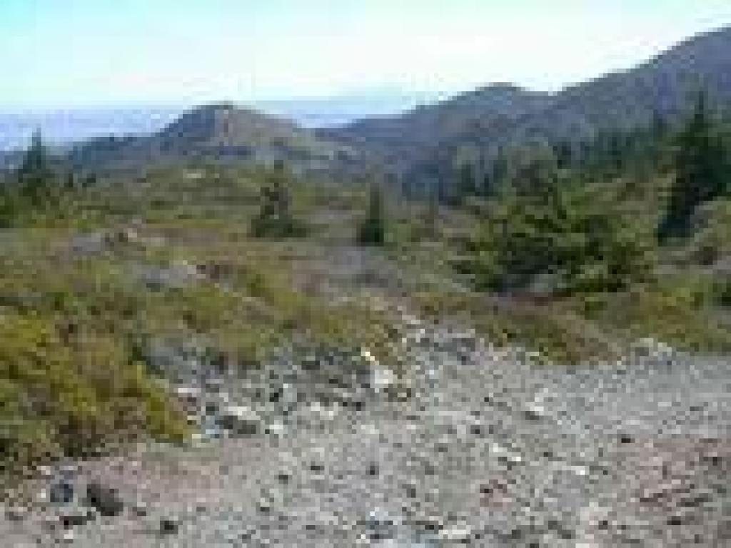 View east