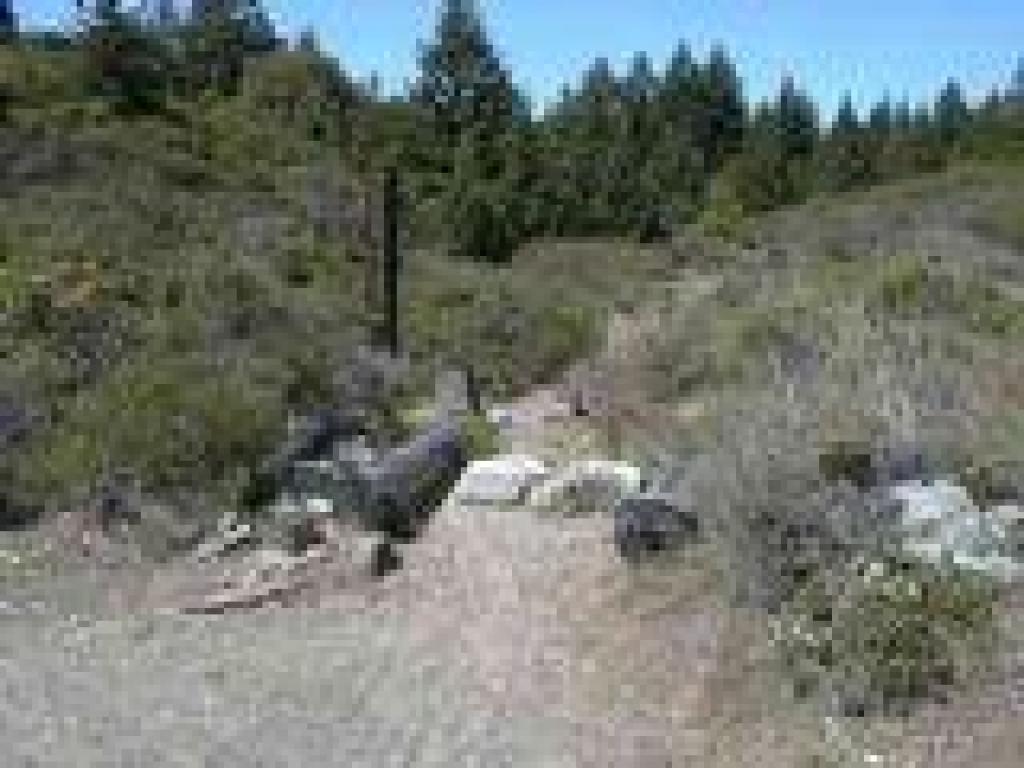 Stocking Trail