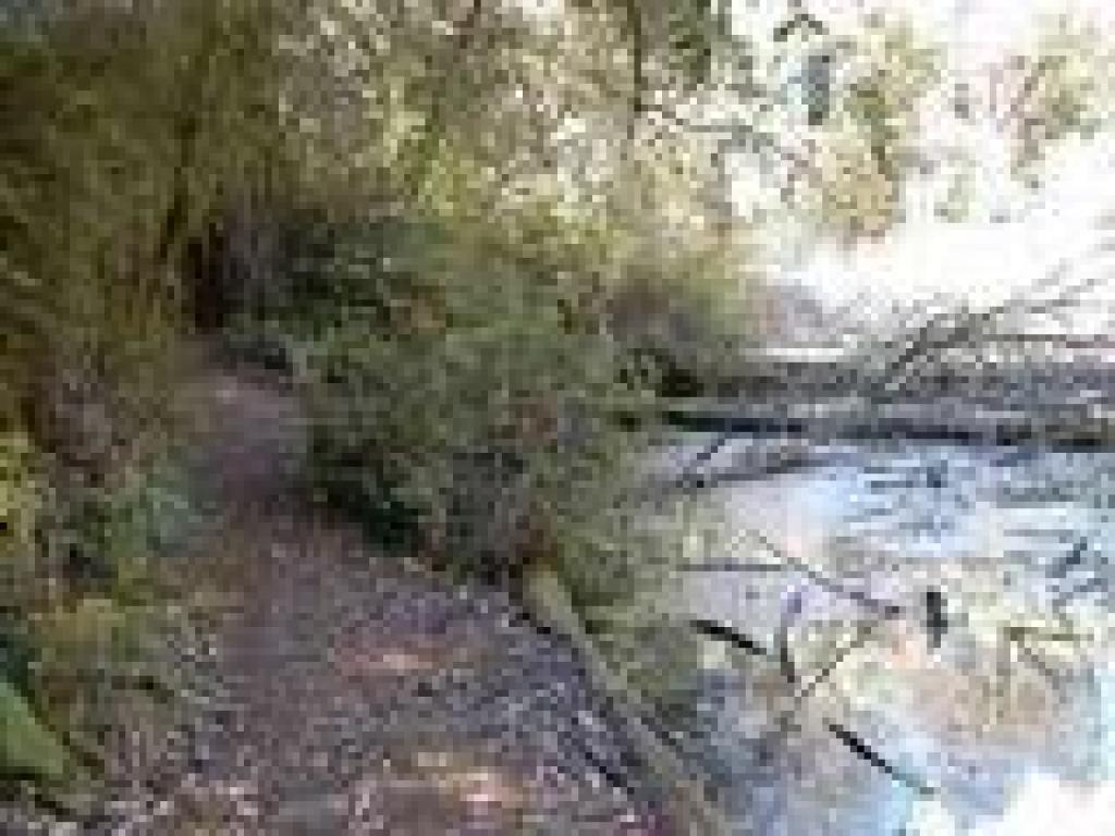 Along the shore of Hidden Lake