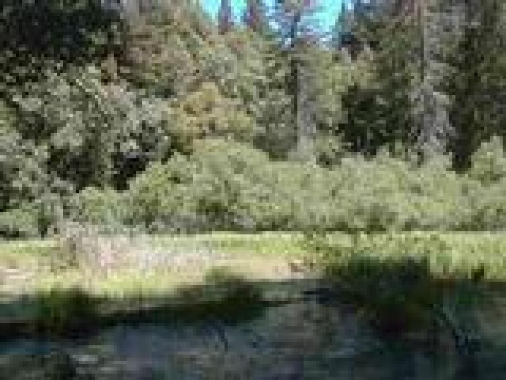 Hidden Lake