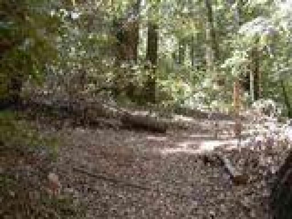 Junction with Kent Trail