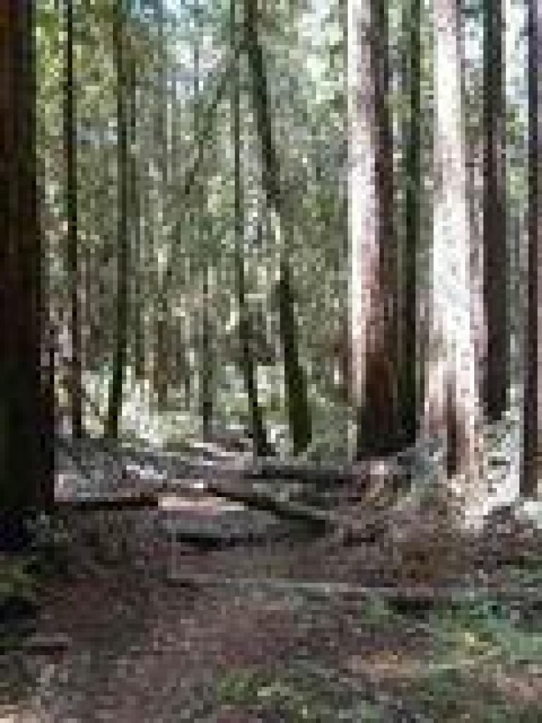 Kent Trail
