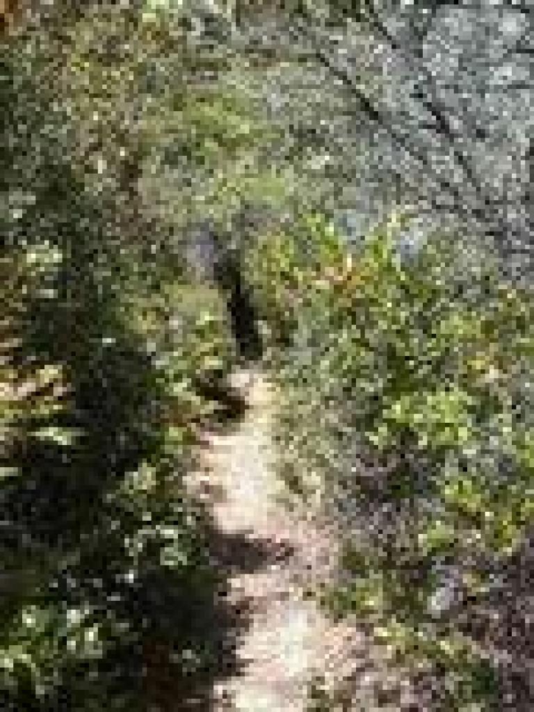 Narrow stretch