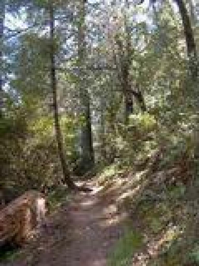Kent Trail