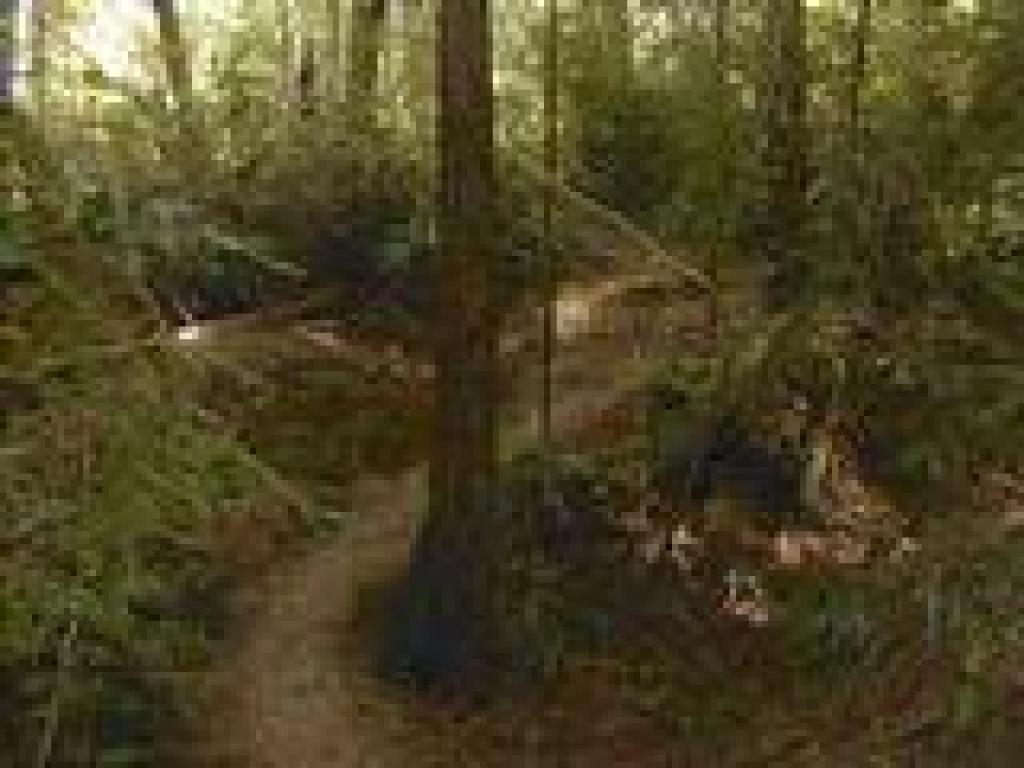Kent Trail