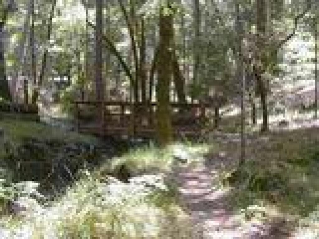 Bridge