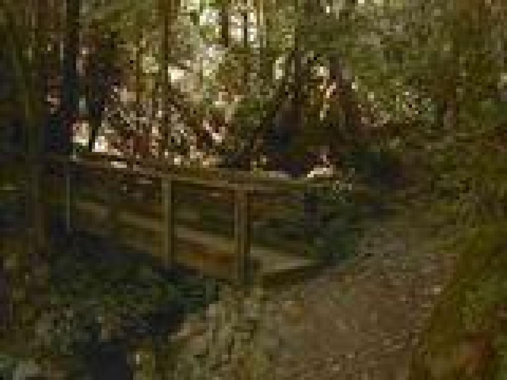 Bridge at Van Wyck Creek