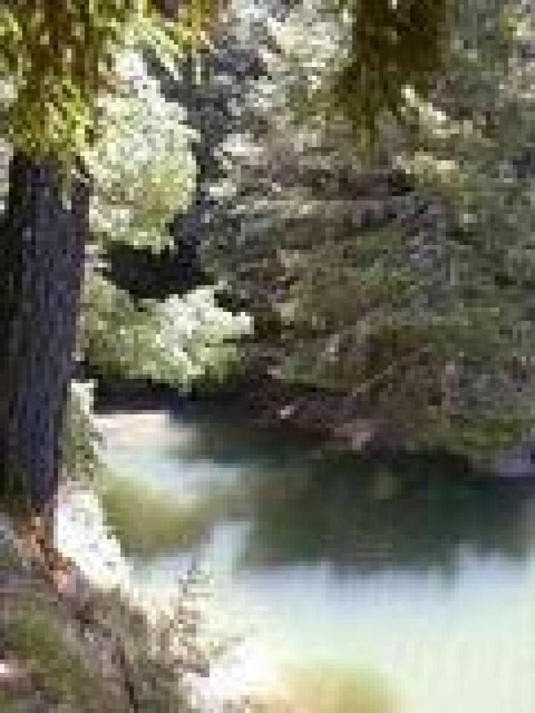 Water