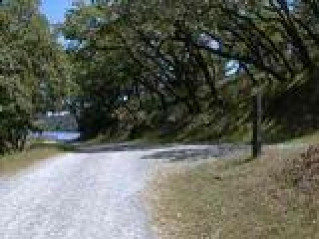 Junction