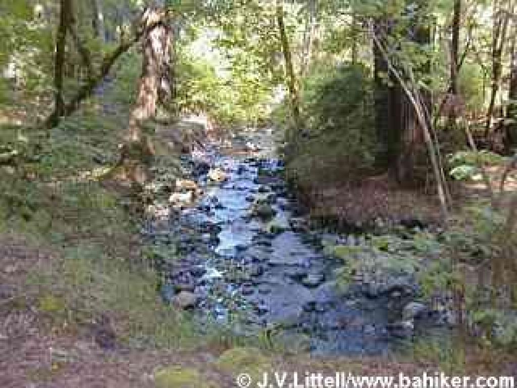 Ritchey Creek