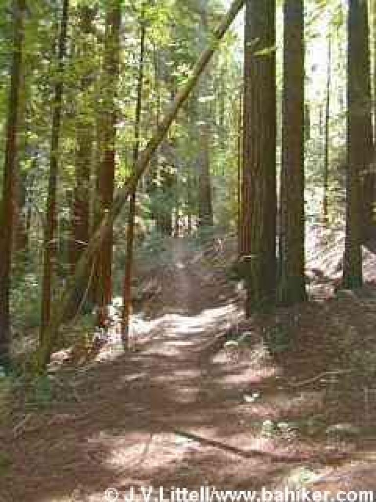 South Fork Trail