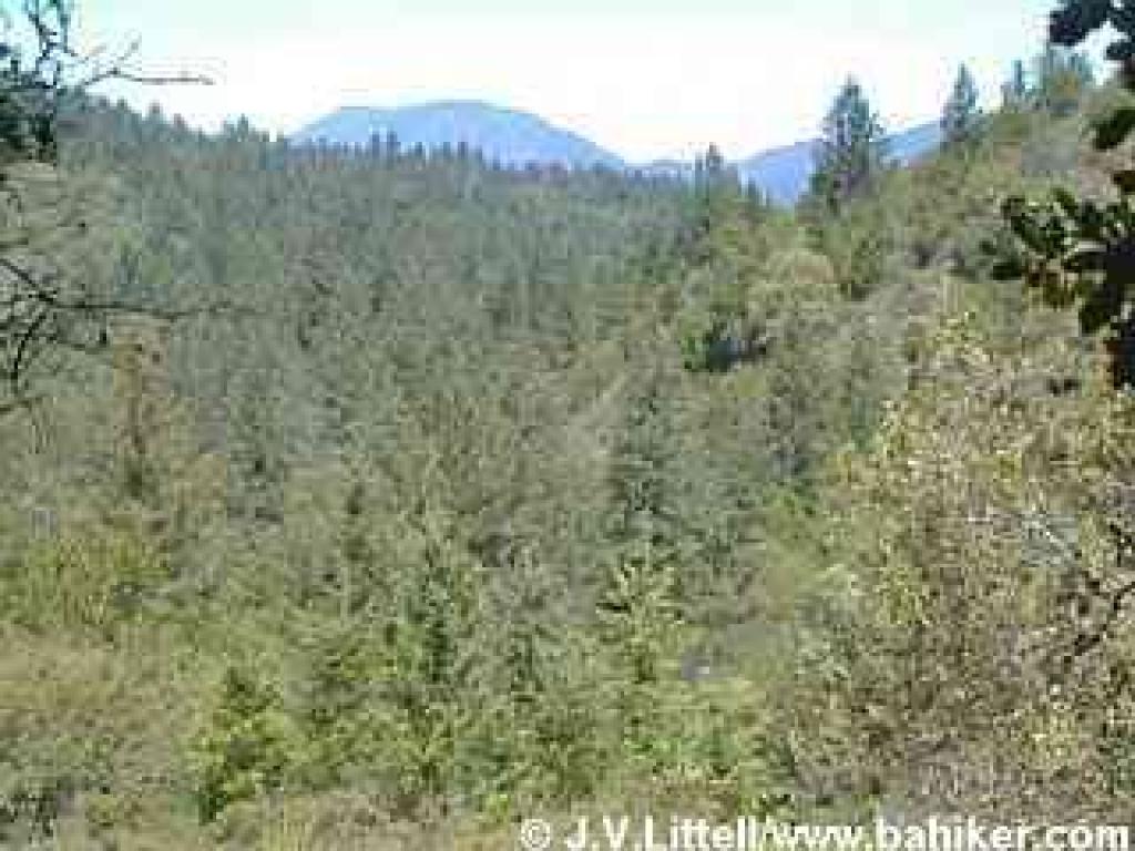 View from Coyote Peak Trail