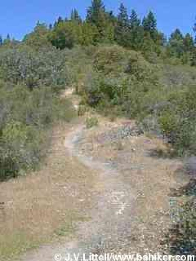 Coyote Peak Trail
