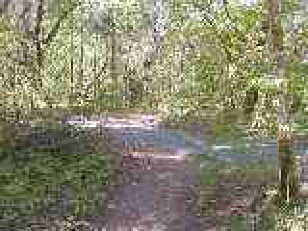 Crossing service road