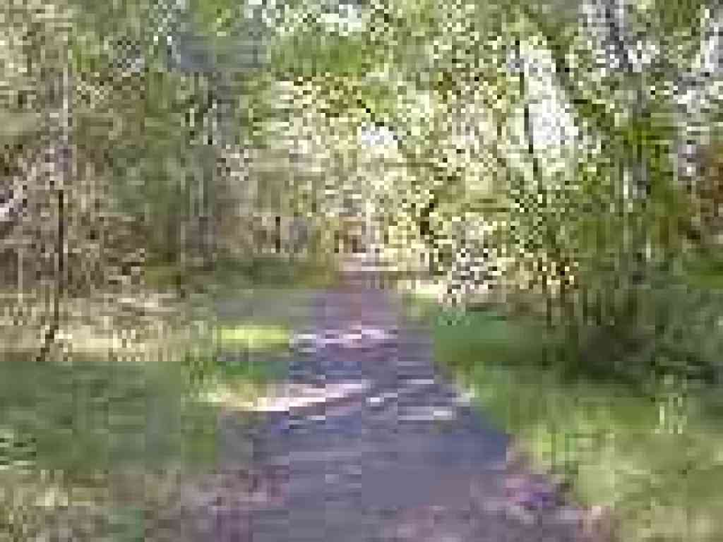 On the way to the creek