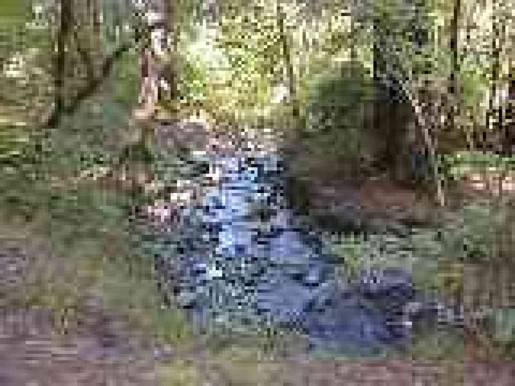 Ritchey Creek