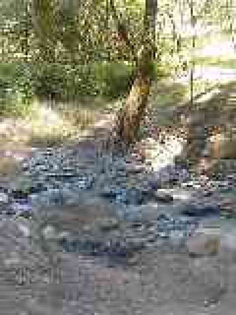 Creek crossing