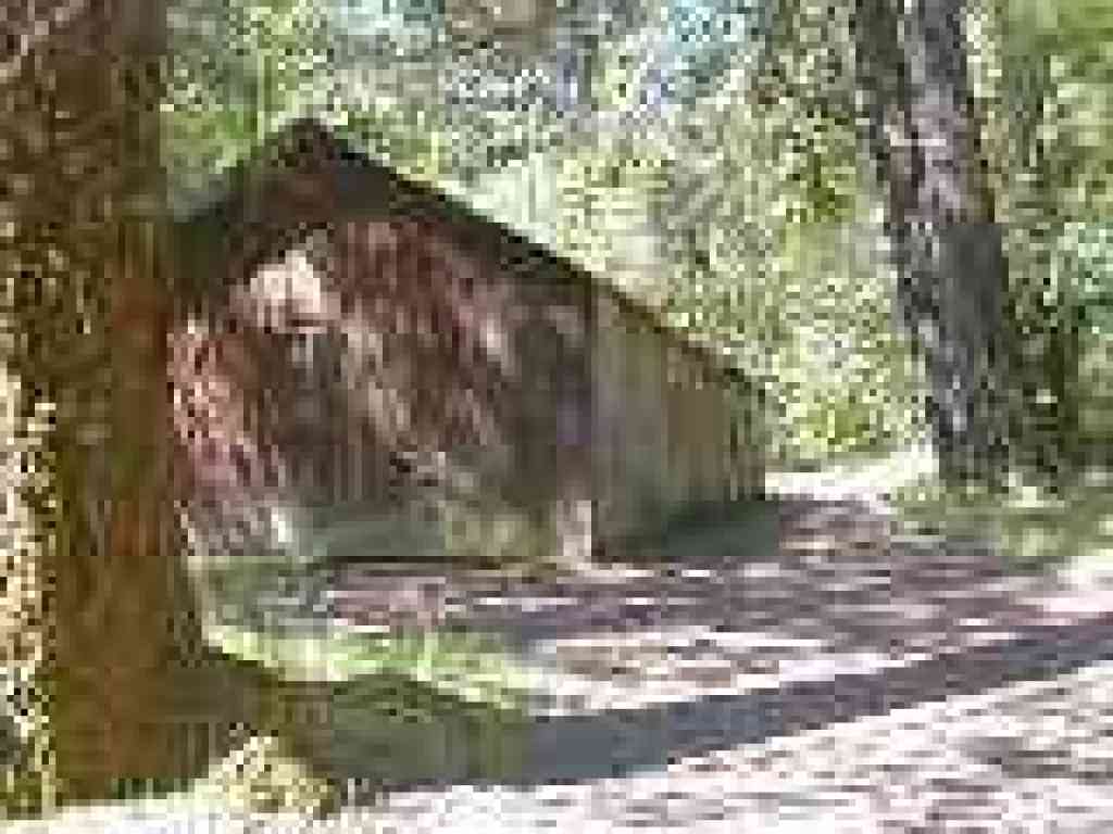 Around a barn