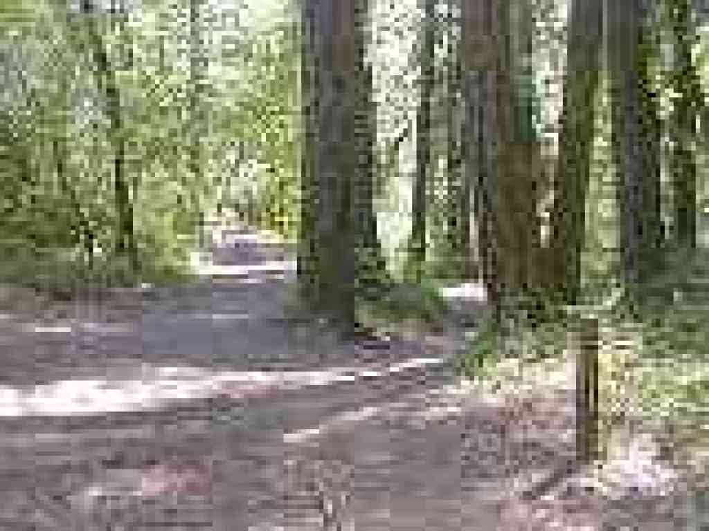 Looking back to junction