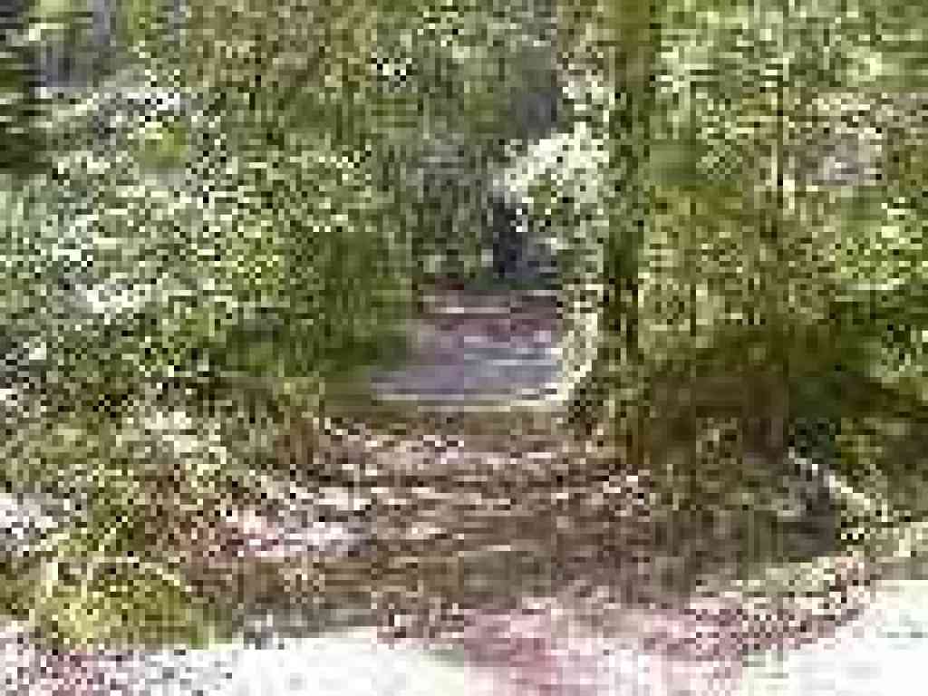 Creek crossing