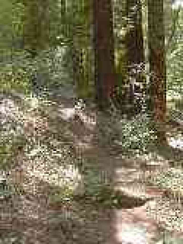 Uphill