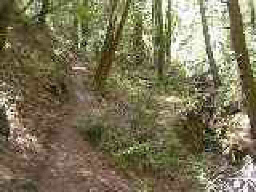 Along the creek