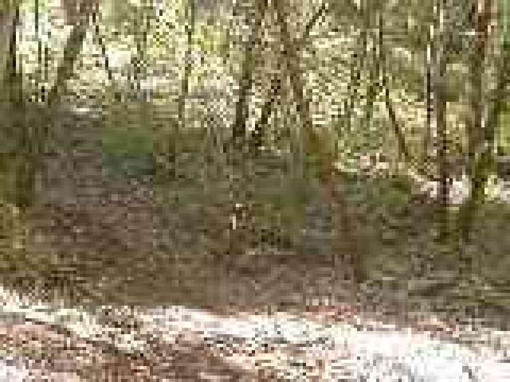 Junction
