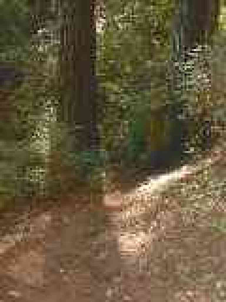 Dropping to the creek