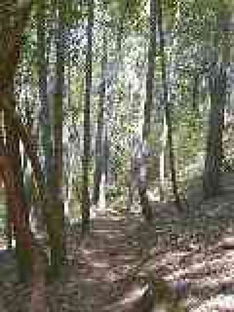 California bays