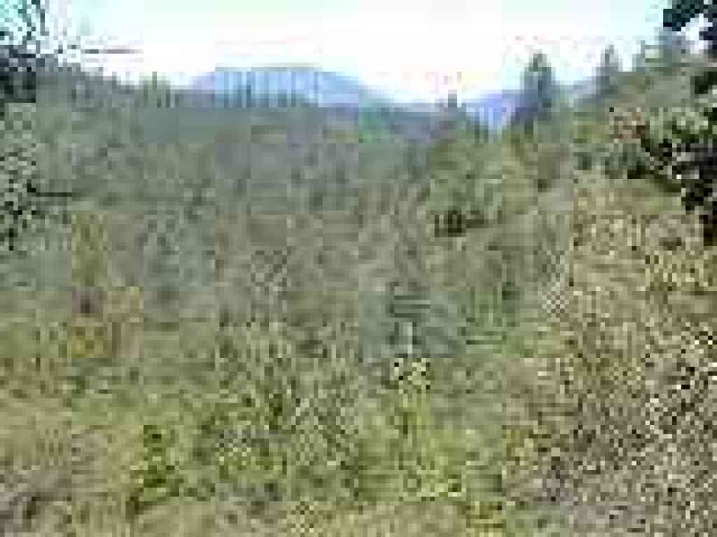 View of Mount St. Helena