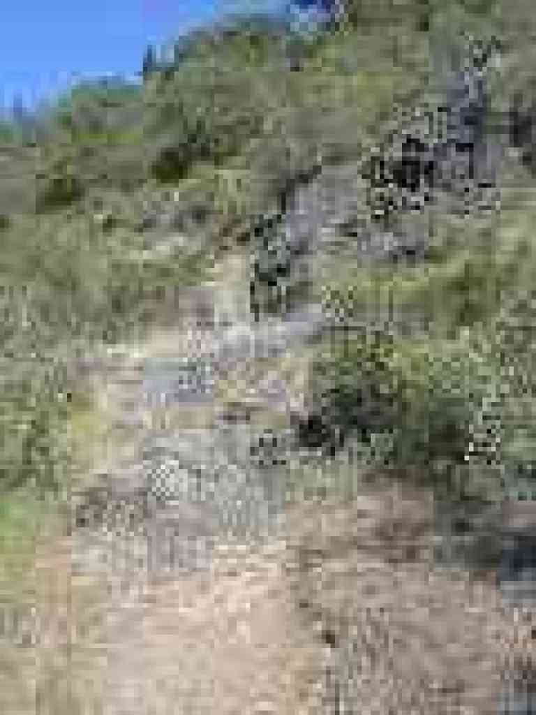 Volcanic rock
