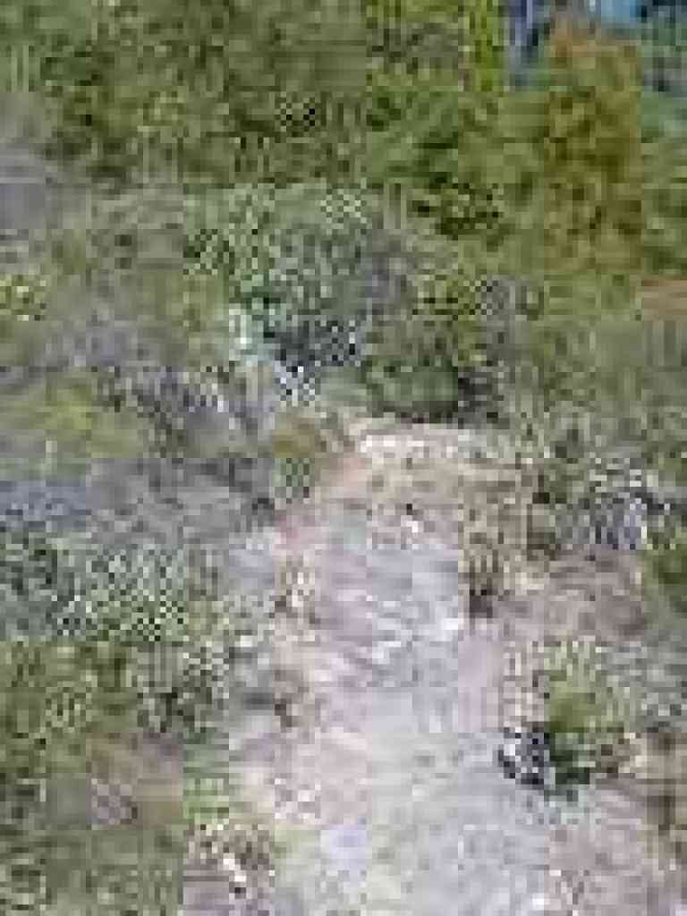 Rocky uphill