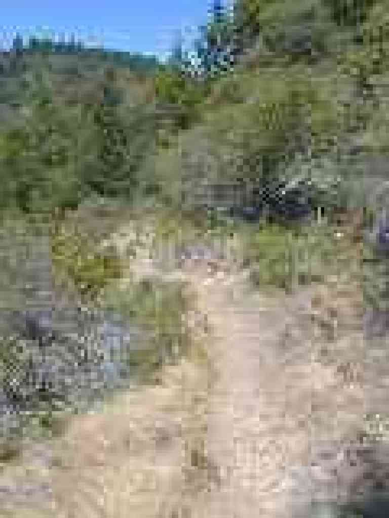 Trail