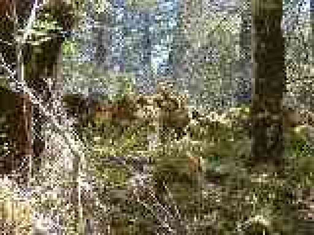 Old stone wall