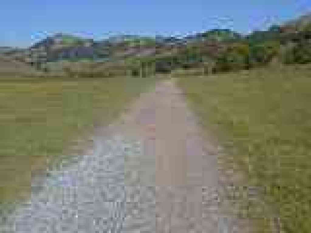 Through grassland
