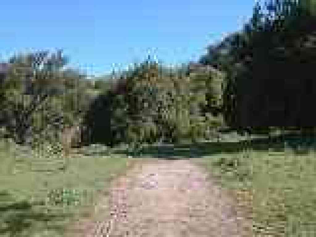 Junction